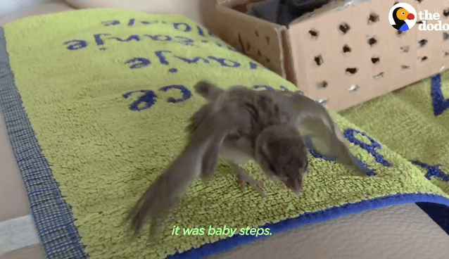 27cd3cd97e6ce5ff61a44afc9613a451e1a2b176