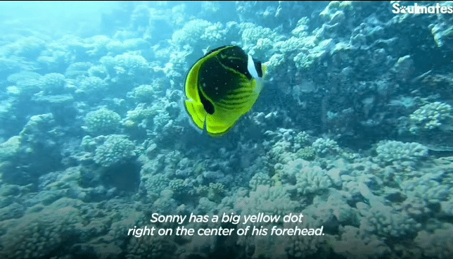 29b0d9bada2c581984341039364b37f955bc11d7