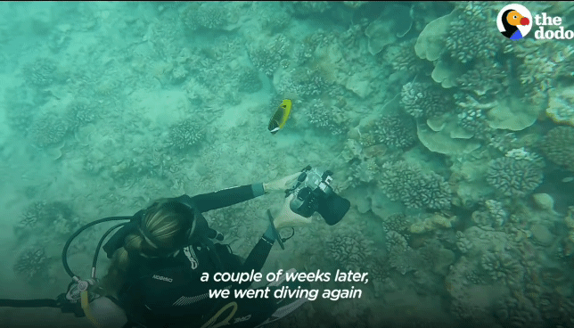 2c0ece563897acdc2d78db2b83562a32a0b8a55d