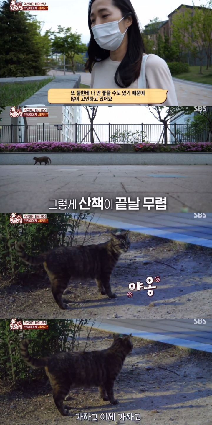 2ca6aece481abd4a3a0f5a8ba0279eea00cdb09e