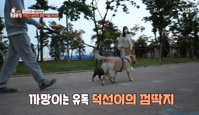 2f408ed6a7f8a78b06ac7260f243780059f35e8c