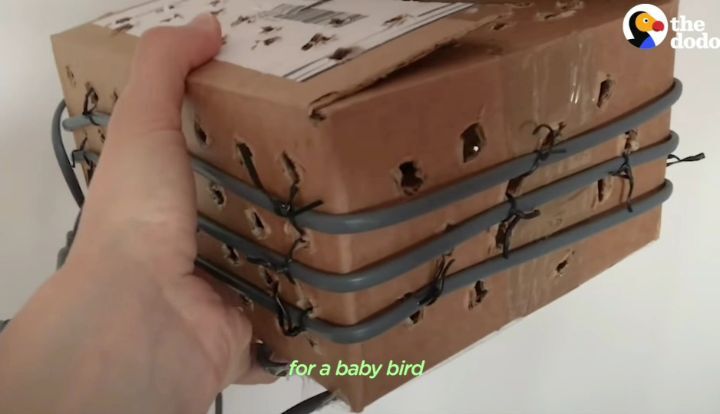 37d113efe58d74cd0e03d3b884efb7527f28a396