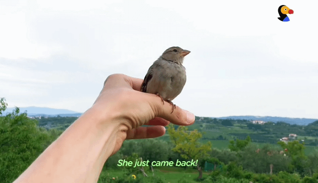 37dac401fa46736e5ab47a89d8d87a1bfb218eea