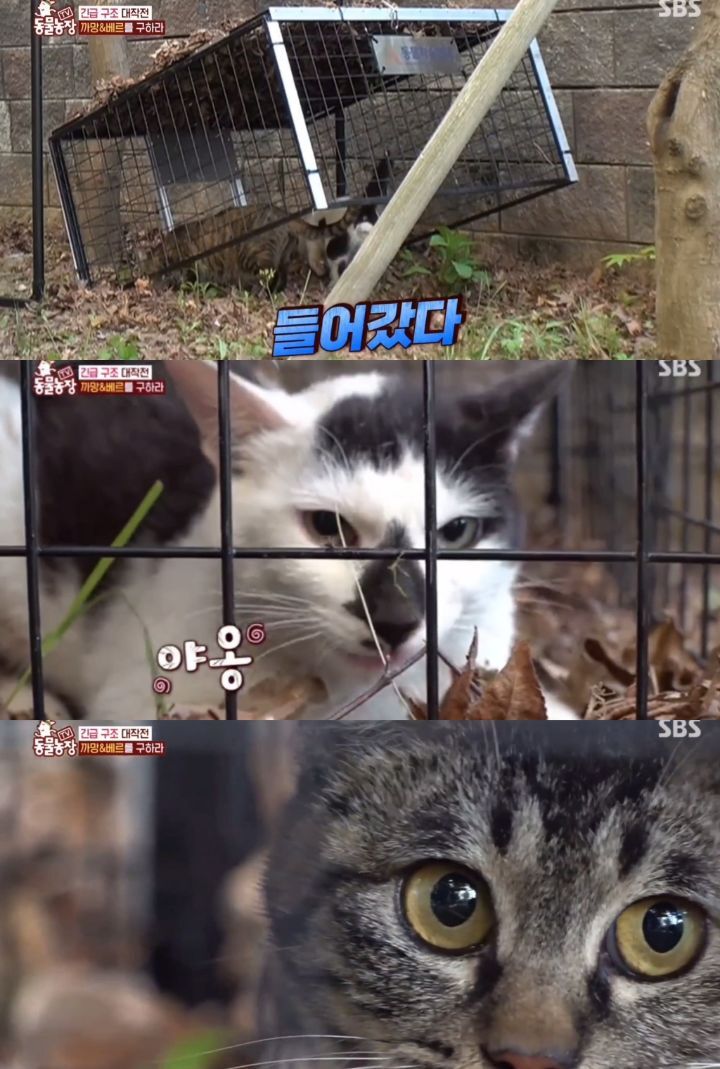 39cb515bbcf2555a1b29a0b00b12bde9f03a169e