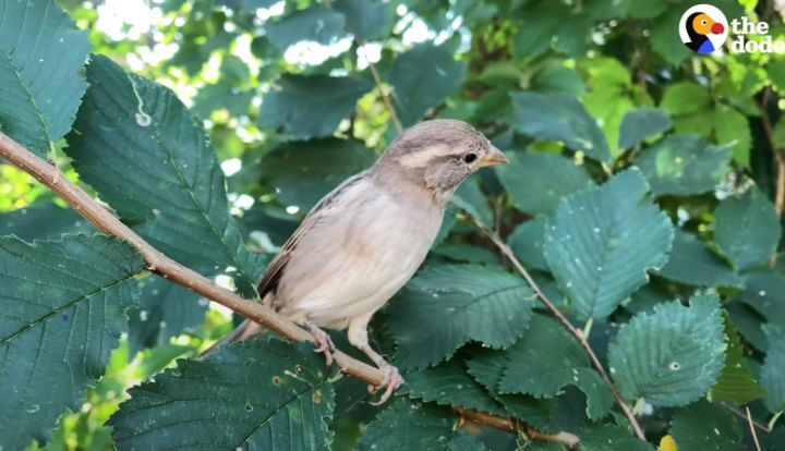 3b334b59126af27137b562fe3369c21c28d62110