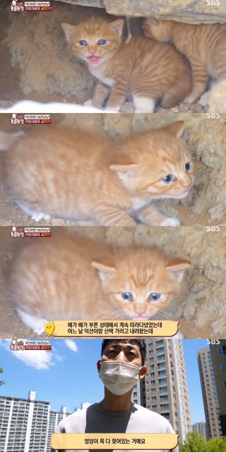 3c8ab91e28fec043bf3cd0b176ec35c07b00872b