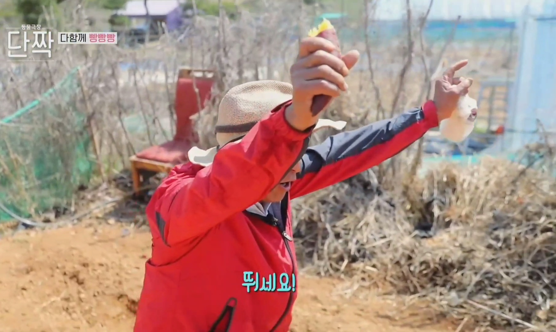 귀엽고 주인 할아버지가 웃긴 호빵이네 가족.jpg | 인스티즈