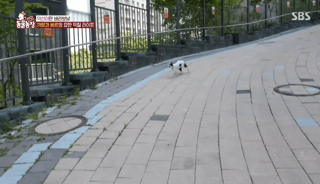 42cdabeb272fa5a00f6f58c099762dcffb7ca9d5