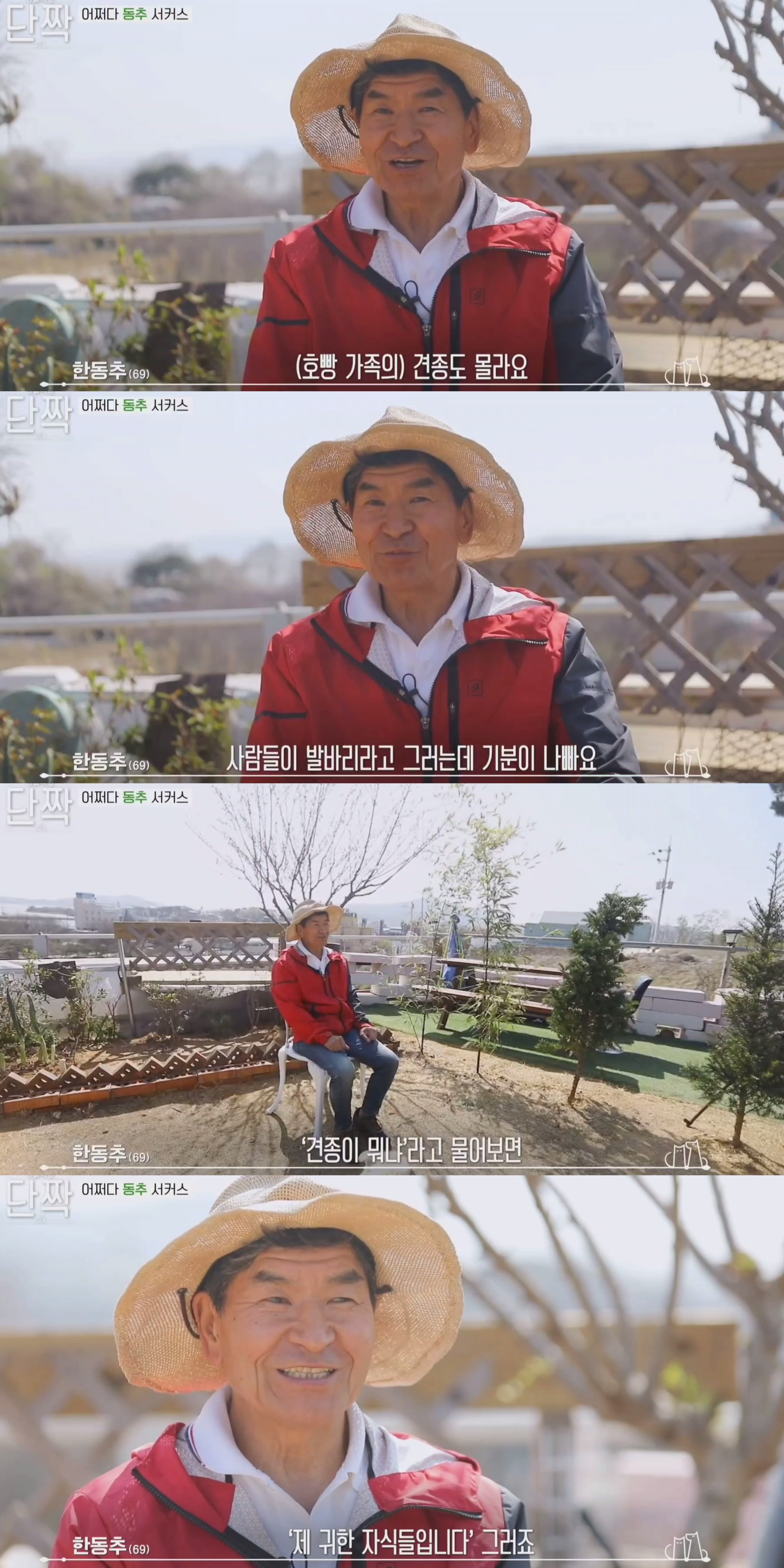 귀엽고 주인 할아버지가 웃긴 호빵이네 가족.jpg | 인스티즈