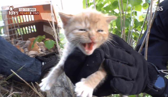 48a77fdc346cdc3c7de3a332cd44328c4c08e41a