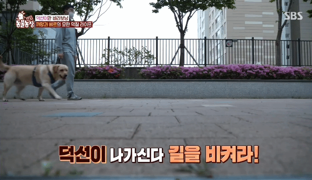 4bfb277563b3617de5db5282be6b2c04fc4e3af1