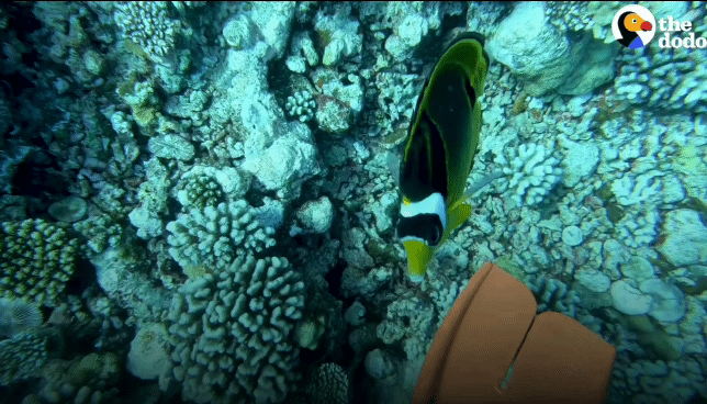 4c0a2b1b85ca964da5def936a5333685da26f3bb