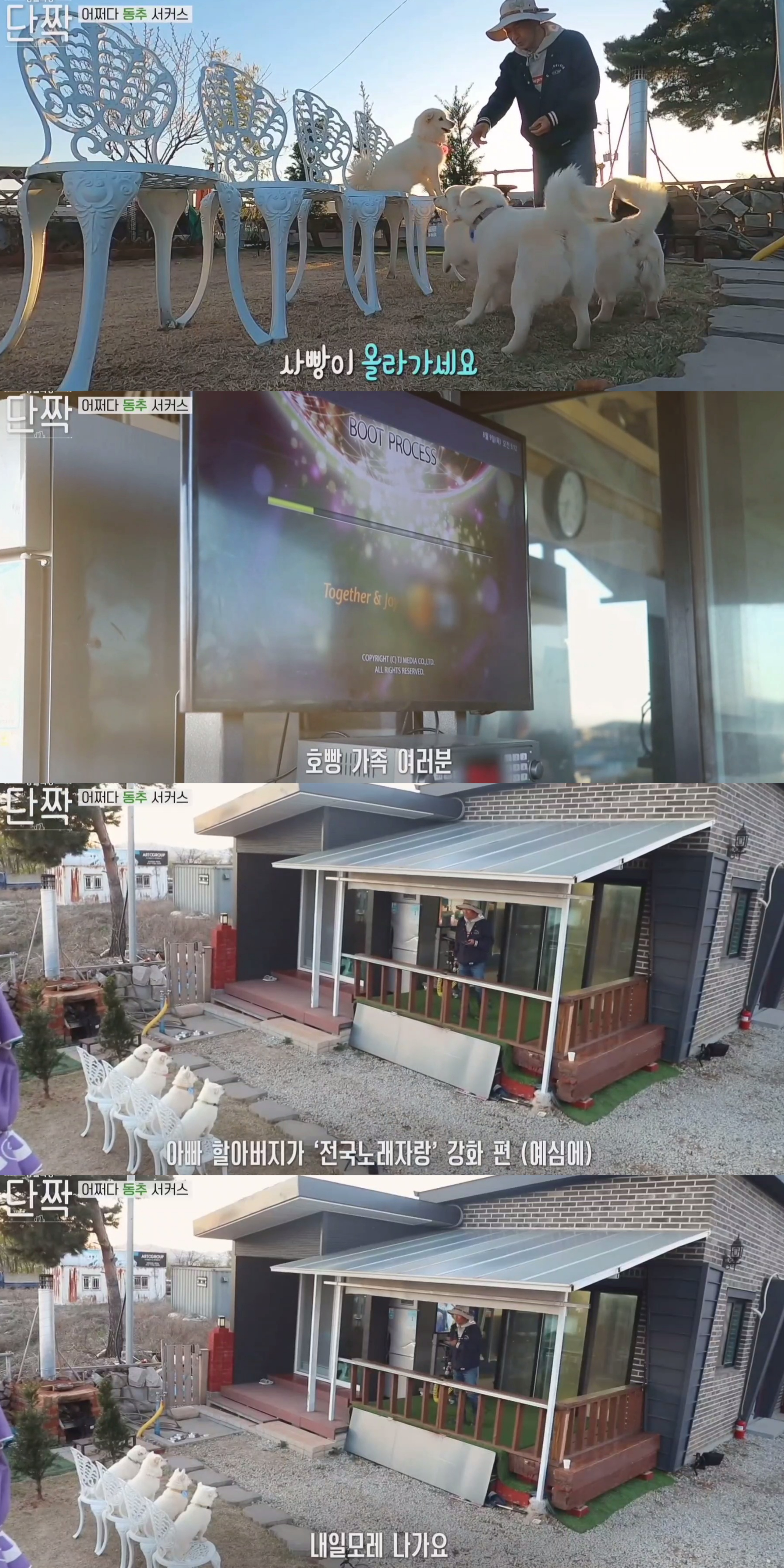 귀엽고 주인 할아버지가 웃긴 호빵이네 가족.jpg | 인스티즈