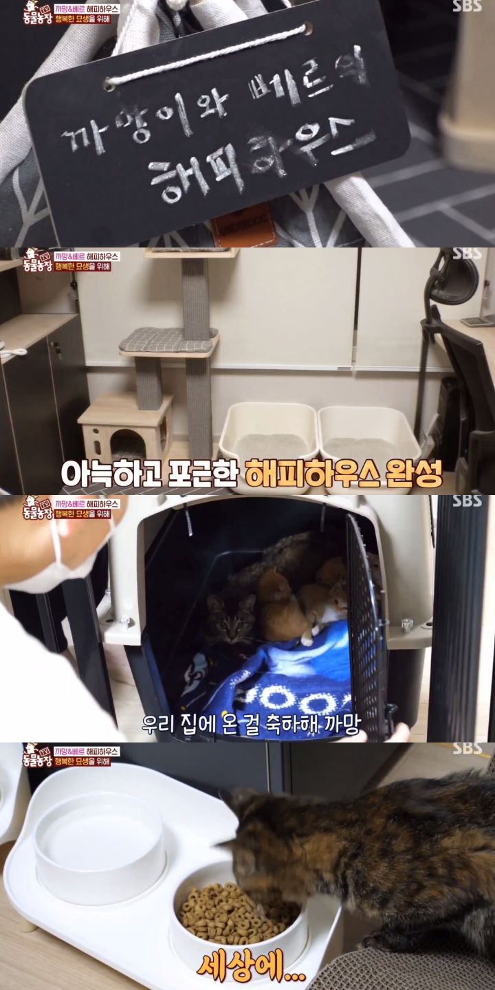 4d77401bcfdb6e5951de746e00caf19dc8c625ea