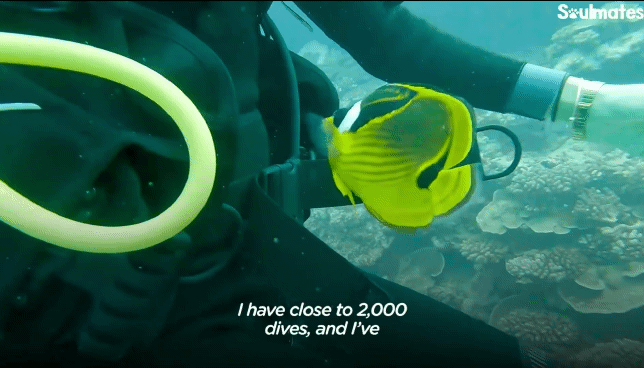 4f3d03df63422455eb14cfb92ed783761a2bc29e