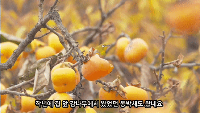 55a8dde01bf07cecfed986bd929553f94a769f69