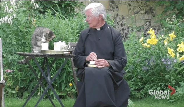 설교중인데 뒤에서 우유 훔는 고양이.gif | 인스티즈