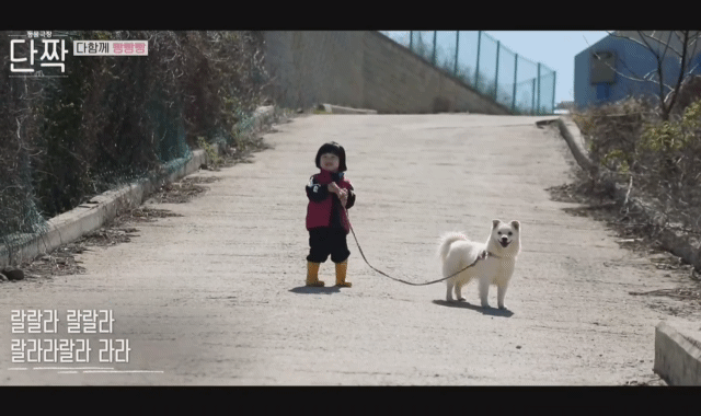 귀엽고 주인 할아버지가 웃긴 호빵이네 가족.jpg | 인스티즈