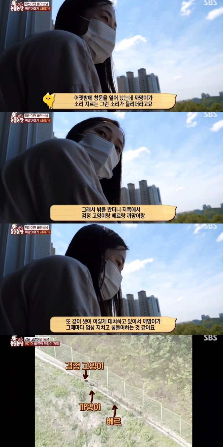 5f19878462716b9feb8d519cc27dbd3df15059d9