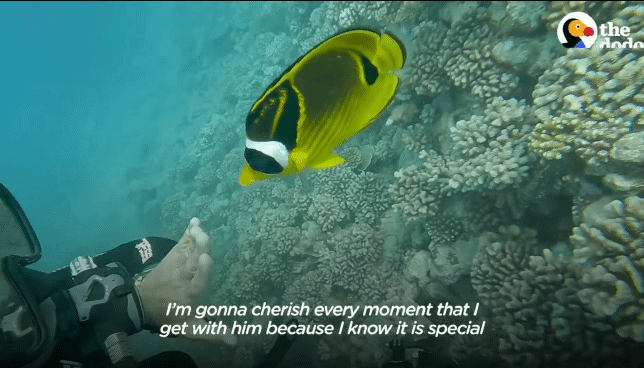 6196a62faa3dcc9e16c9da542f3df7845a049d30