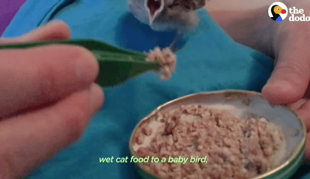 62ae36f153c2f6c0a59f048a48d182c5bcc721de