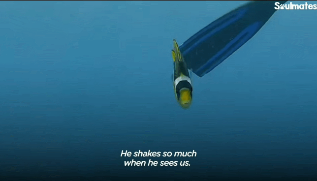 65367f4684364e2ac13eb8f593b0df477450ff6c