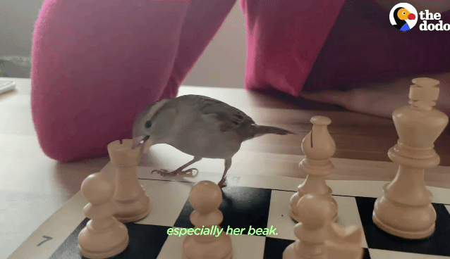 678a0a53dfa0eb0114c7e332caed8e4348ab74ae