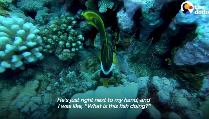 68c80ec68cfa12be738fce6d0d84153b9370f2cf