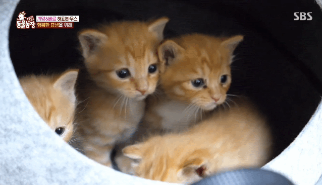 692f3fb61b616facb94276be5bd4b2bbd960d4fe