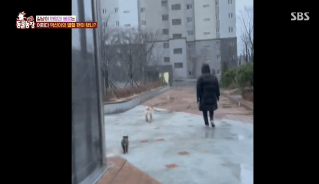 6ab56975690284a8d5fb4275dc092513058b819e