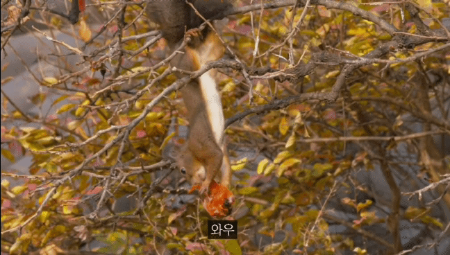 6fa8d1741b8dbbf4565d664d17b64d61ec061621