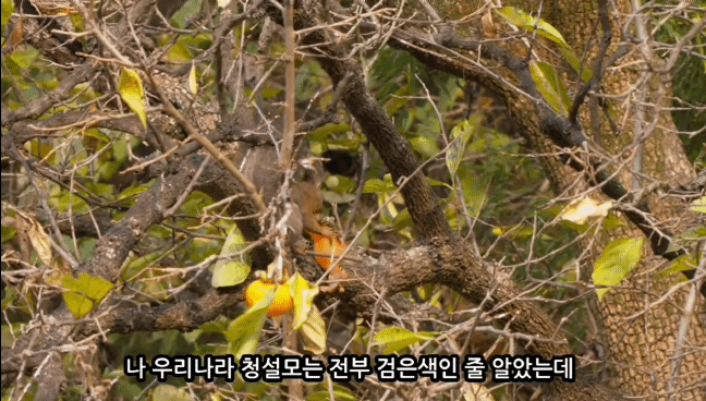 728731a4d6bf1da51a451719c9dcb94be70f788f