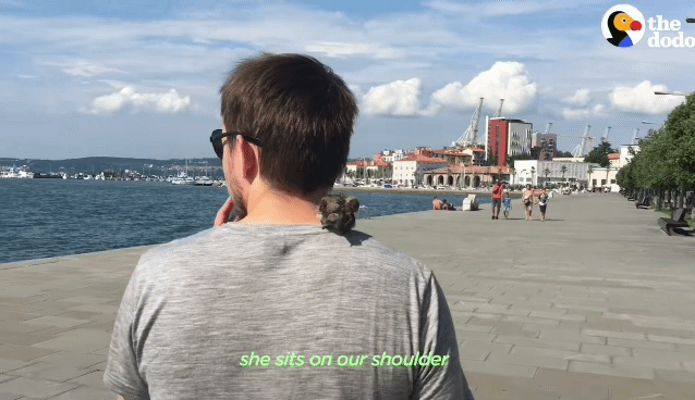 7509668a049190ac9e8731f98b0d97bc59595364