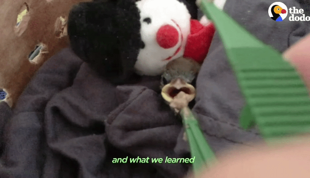 76b369296403ceb3531f0fc3166d3e5c787dc5ca