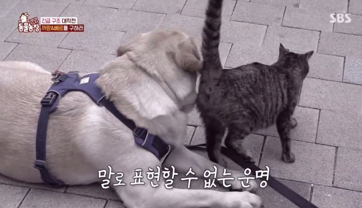 76d15f18e7912fa318164af715942d4b48232e09