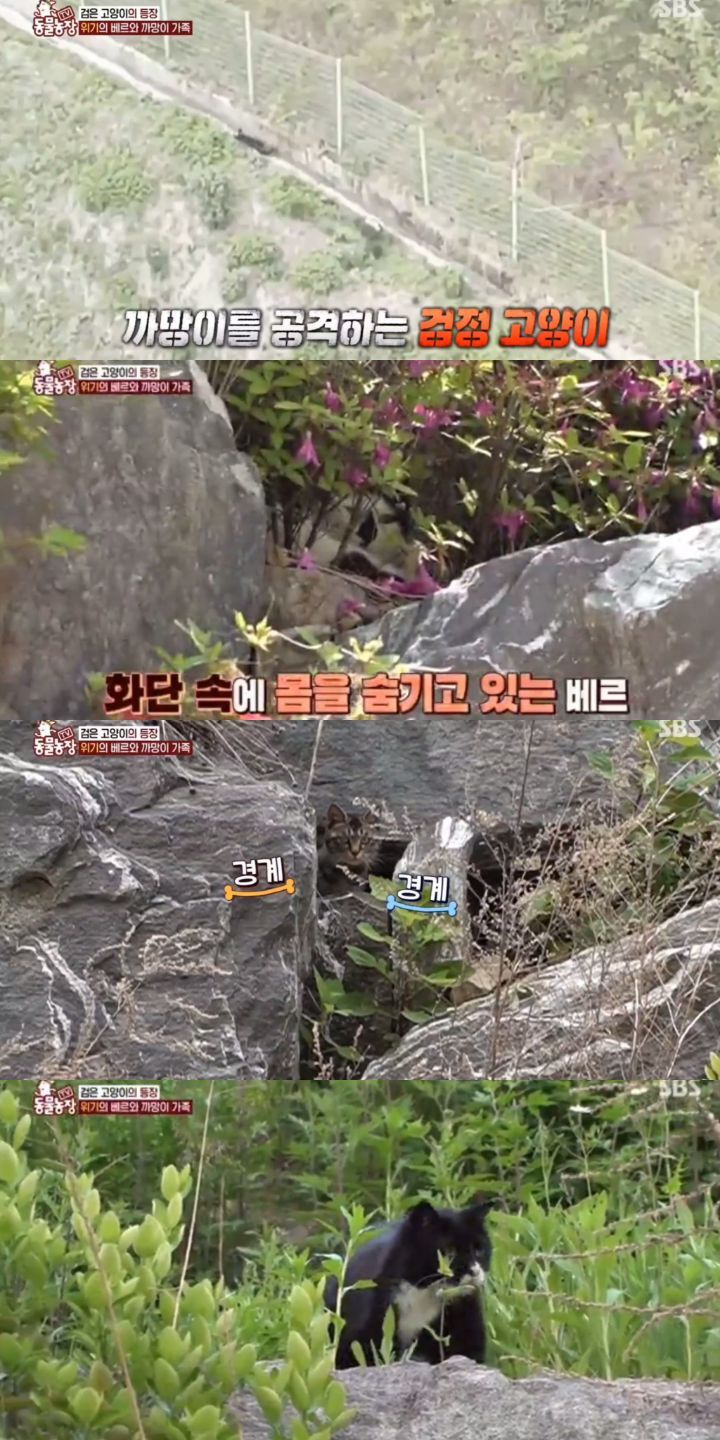 77bc738217311bceac3107aec50bb44b847893ba