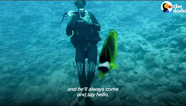 79e2841db29afe33be03019e45dff8da73871746