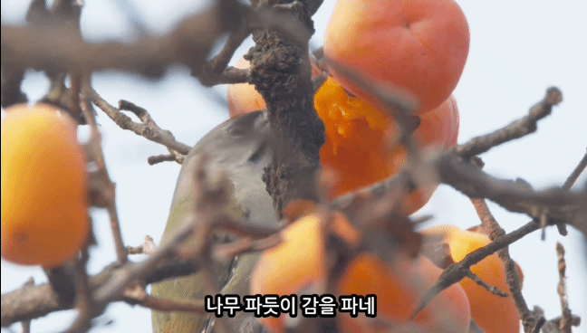 7a634ee5d85589c90aa884f9967c4eafd7080609