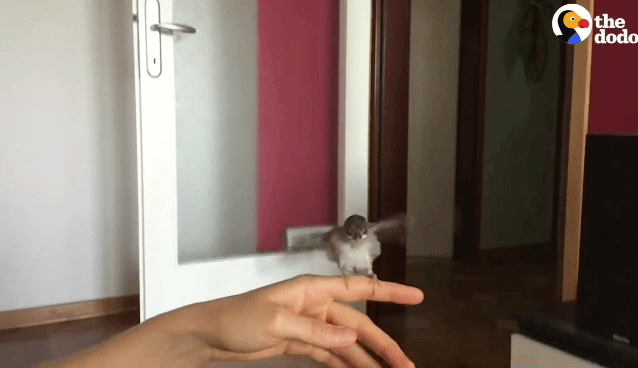 7b382982e75dd27943e7d56fe99850125543f36f