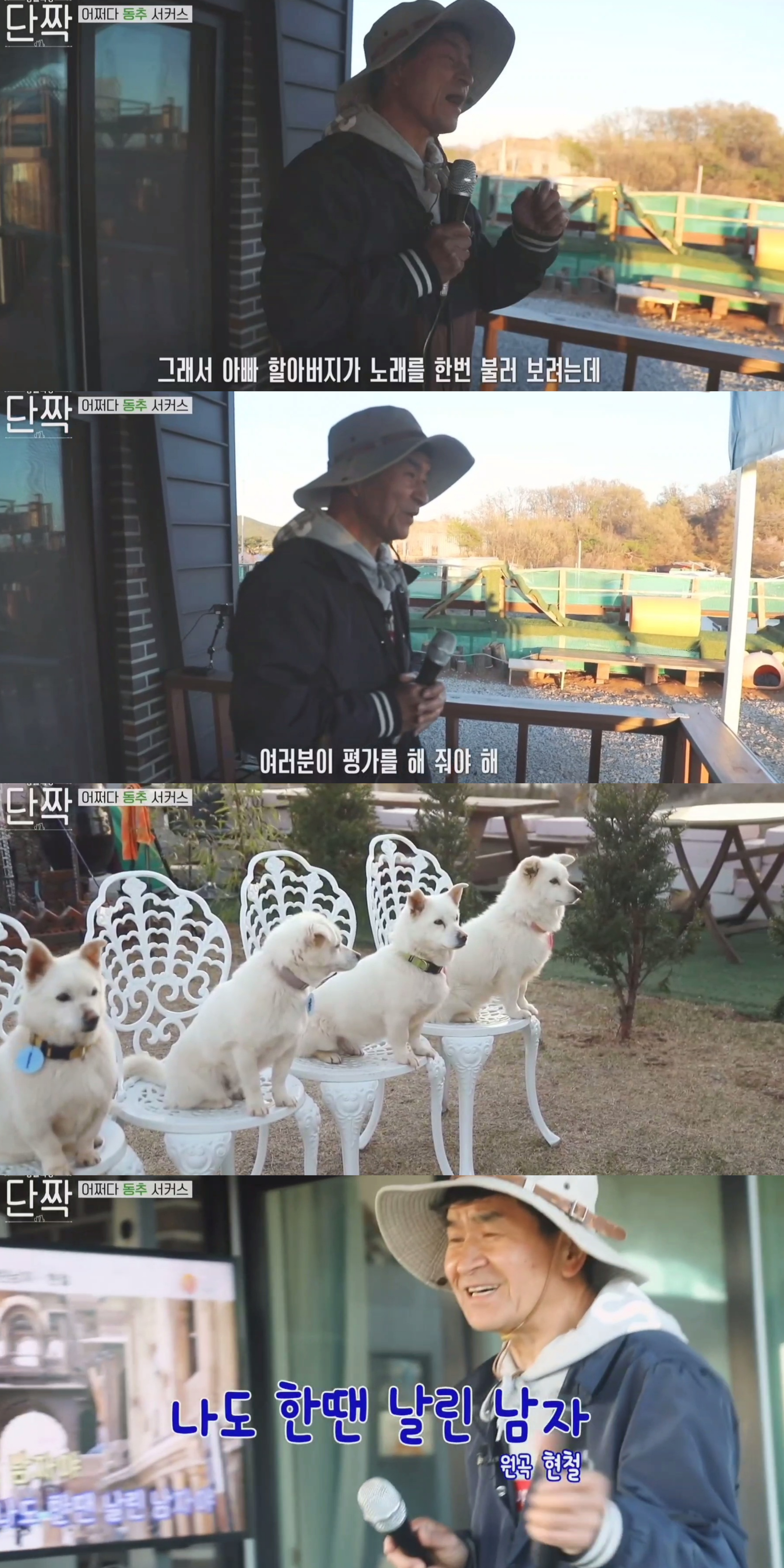 귀엽고 주인 할아버지가 웃긴 호빵이네 가족.jpg | 인스티즈