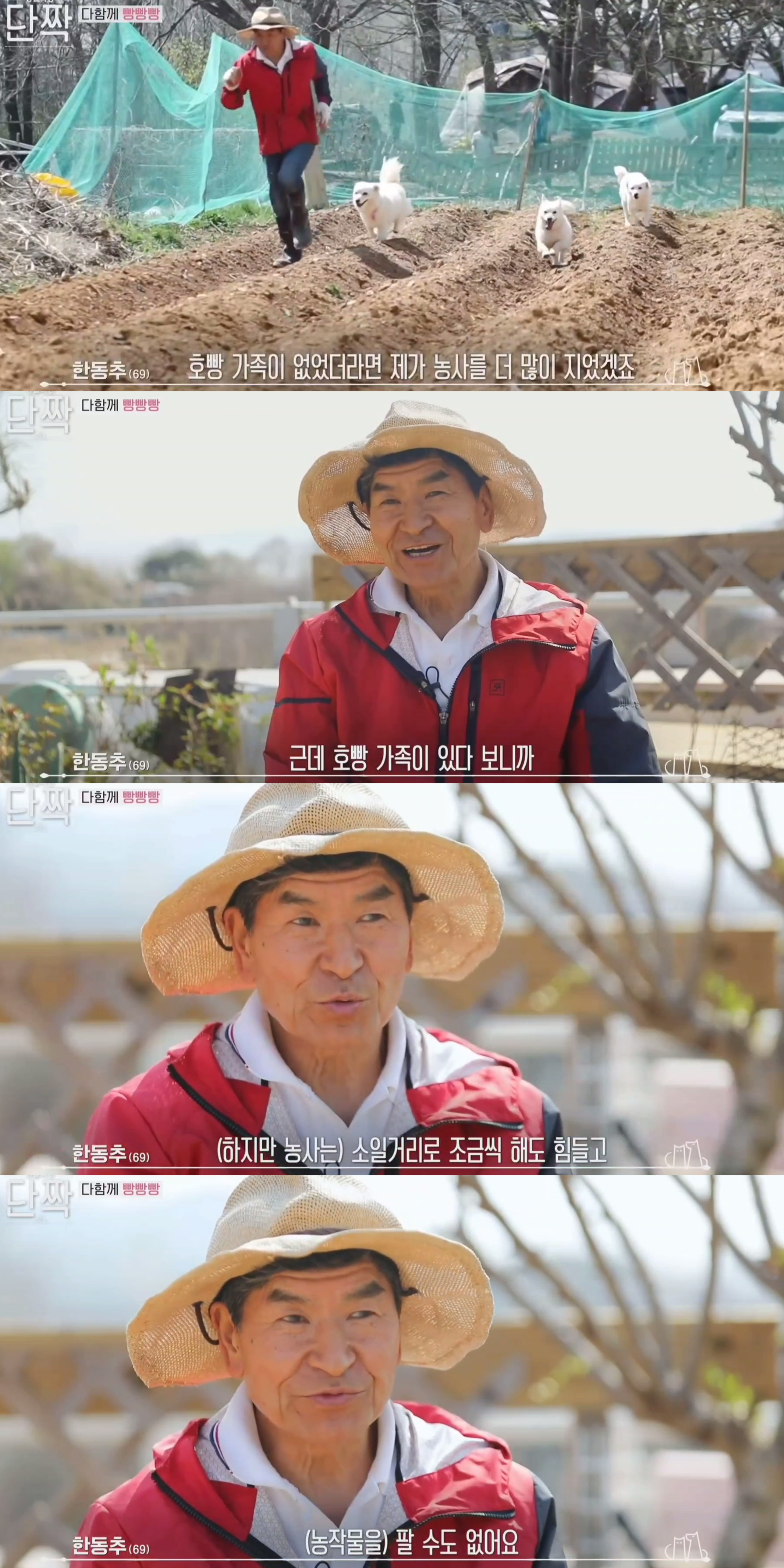 귀엽고 주인 할아버지가 웃긴 호빵이네 가족.jpg | 인스티즈