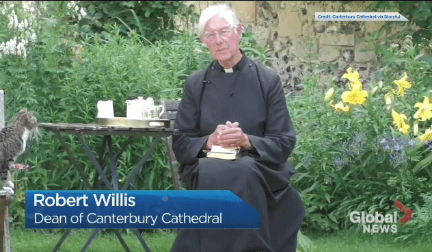 설교중인데 뒤에서 우유 훔는 고양이.gif | 인스티즈