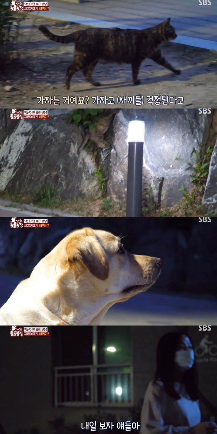 7da8b2bff9a90e5fe22b061d3612f19b0687551c