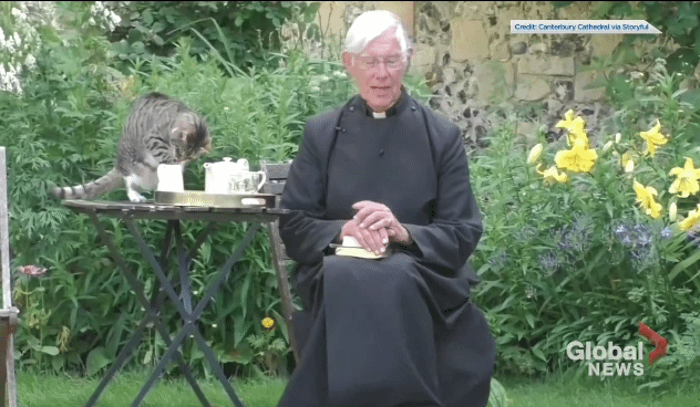 설교중인데 뒤에서 우유 훔는 고양이.gif | 인스티즈