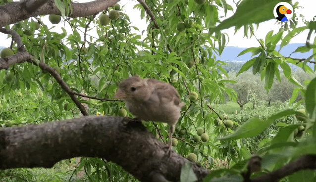 81dab0fc638b353350a3c0008e341cb0ddc7431d