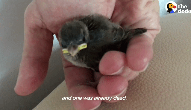 827cac32f9d7aa0aca337b61955fd2e2119b33a0