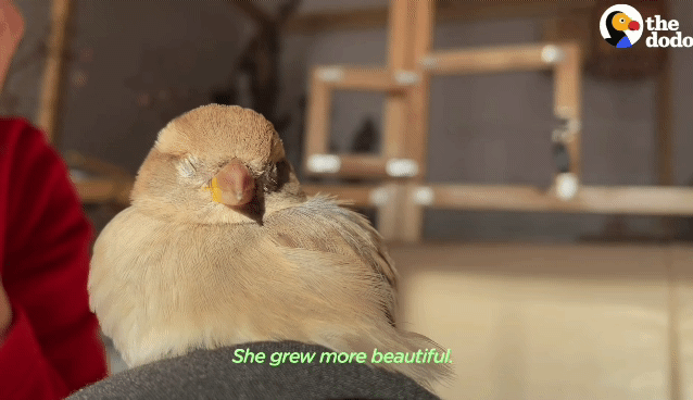 83fa5c7ed2dbb91aa85da6bddf9561c3afdc5a75