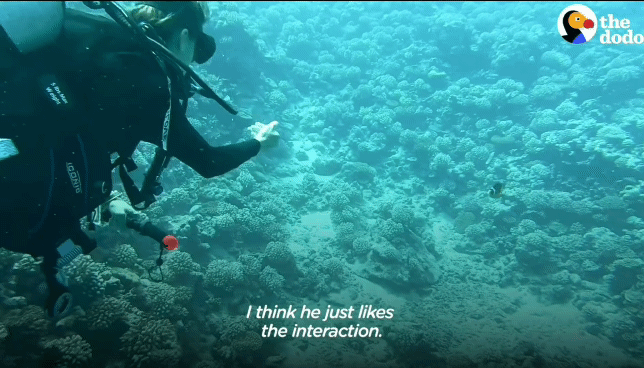 8497e60a7e70ff521e039b0a62b4c59201b274ea