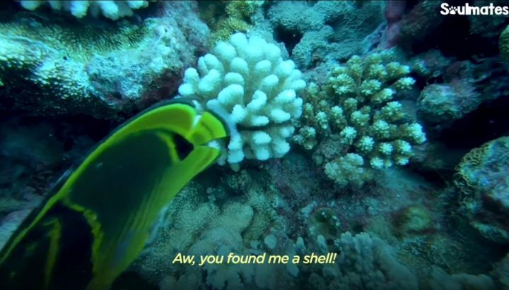 85565bc3bd7a2b8d48f53bdcbcb21e5e1f17ee7b