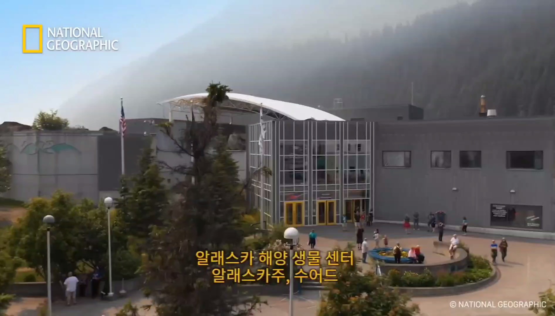 작고 소중한 새끼해달 구조 작전.gif | 인스티즈